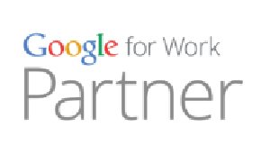 Logo Google partner NiceNet Stradella Pavia